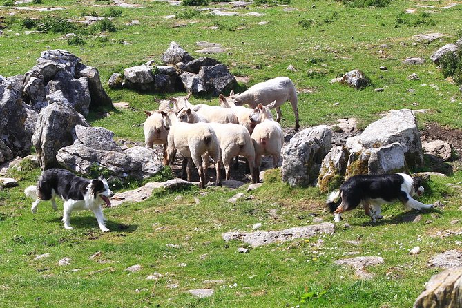 10-Day Ultimate Small-Group Tour of Ireland from Dublin - Sligo, Donegal, and the high cliffs of Slieve League