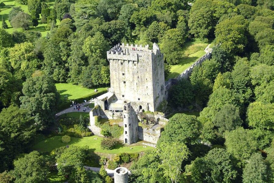 Blarney Castle Full-Day Tour from Dublin - Who will enjoy this tour most?