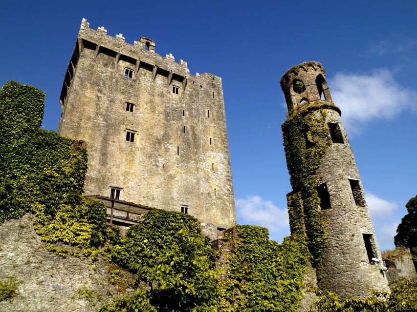 Blarney Castle Full-Day Tour from Dublin - Should you book the Blarney Castle day trip?