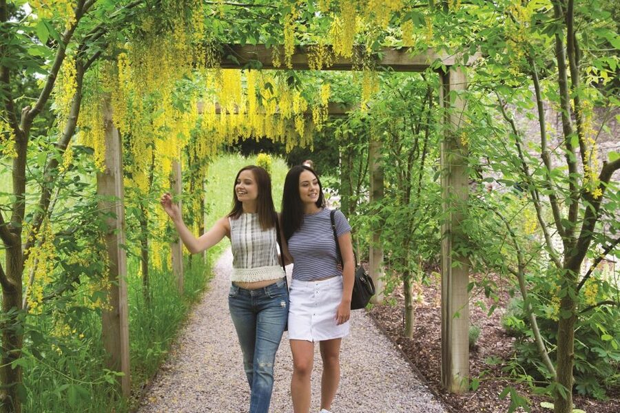 Blarney Castle Full-Day Tour from Dublin - Cork: a short break for food, market stalls or architecture