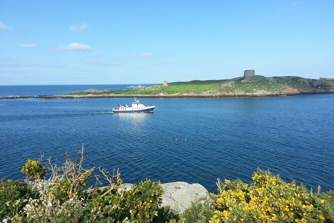 Boat Trip from Dublin City to Dun Laoghaire - Who will enjoy this boat trip