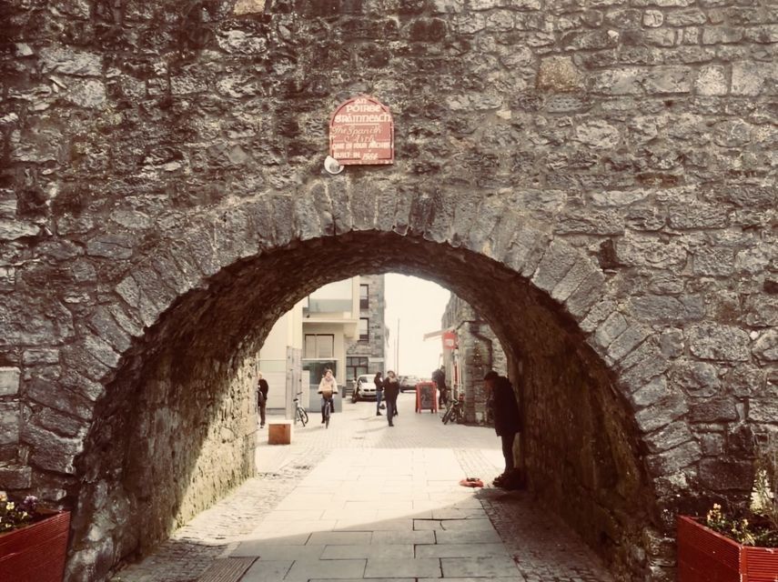 Cliffs of Moher and Galway Tour in Italian or Spanish - Who will get the most from this day