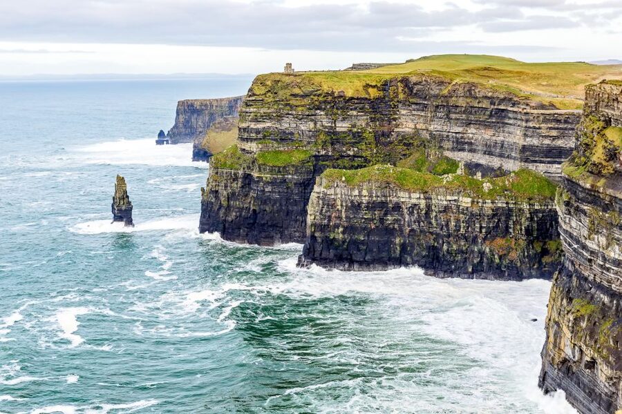 Cliffs of Moher Full-Day Tour from Dublin - The Burren’s bare stone and surprising plants