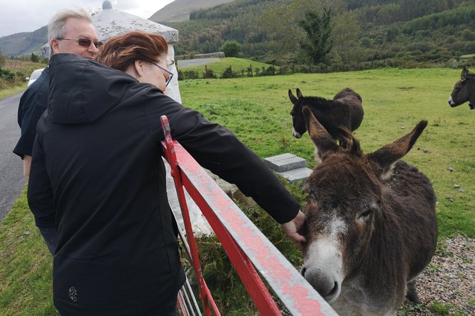 Cliffs of Moher & Galway Bay private tour or Galway city day trip - A private westbound day from Dublin
