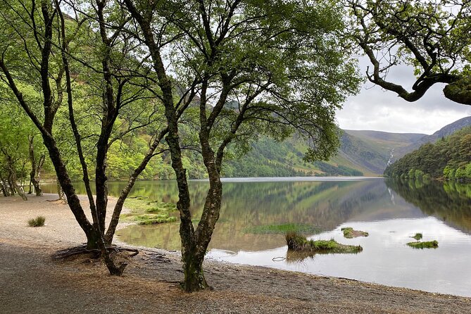 Day Tour from Dublin: Wicklow Mountains, Glendalough, Powerscourt - Powerscourt House and Gardens: two hours among designed grounds