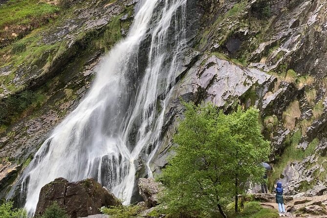 Day Tour from Dublin: Wicklow Mountains, Glendalough, Powerscourt - Should you book this Wicklow day tour?