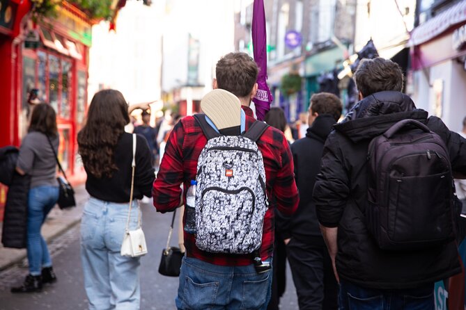 DayTripper Dublin: A Guided City Walking Tour - Dublin Castle and Christ Church Cathedral