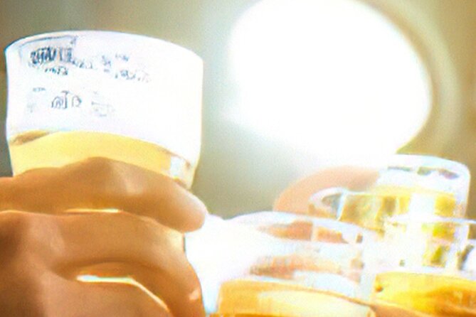 Drinks on Foot: Dublin Traditional Pub Tour - What the $33.19 fee buys you