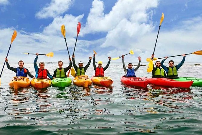 Dublin Bay Seal Kayaking Safari at Dalkey - Is $143.97 Good Value?