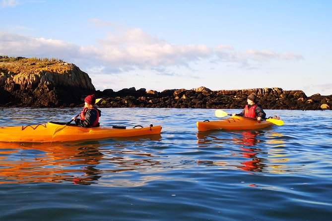 Dublin Bay Seal Kayaking Safari at Dalkey - FAQ