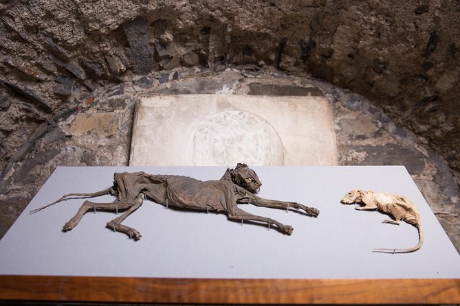 Dublin Christ Church Cathedral Admission Ticket - Should you book this ticket?