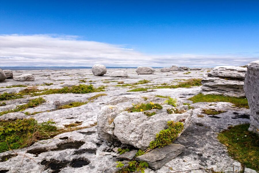 Dublin: Cliffs of Moher, Atlantic Edge & Galway City - What the $85 fare covers