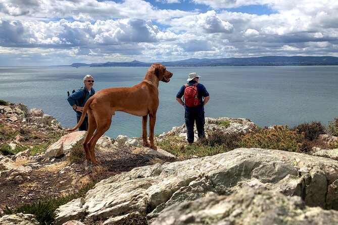 Dublin Coastal Hike with Howth Adventures - St Mary’s Abbey and the old village paths