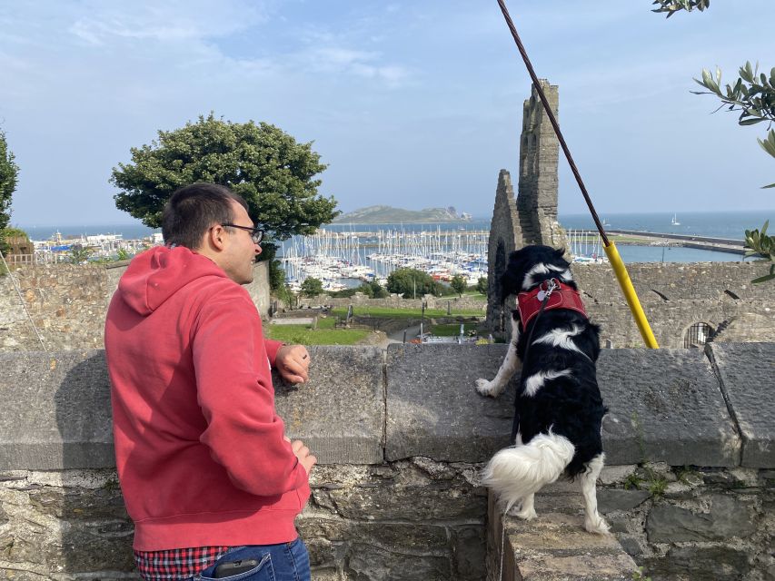 Dublin: Dublin Coastal Hike and Pints & Puppies - FAQ