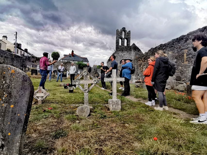 Dublin: Dublin Coastal Hike and Pints & Puppies - Who will enjoy this Howth walk