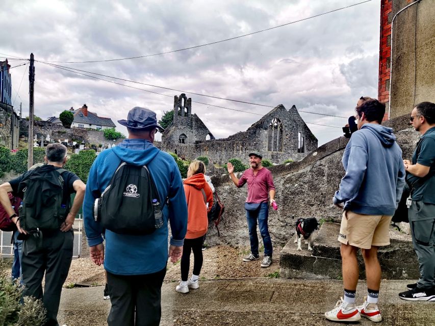 Dublin: Dublin Coastal Hike and Pints & Puppies - Should you book it?