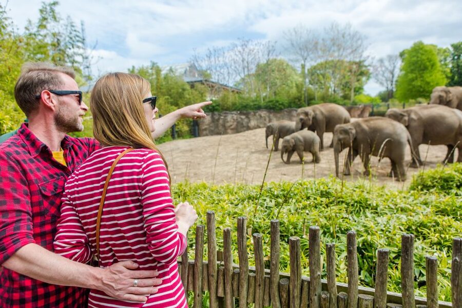 Dublin Explorer Pass: Save up to 50% on 3 to 7 Attractions - FAQ