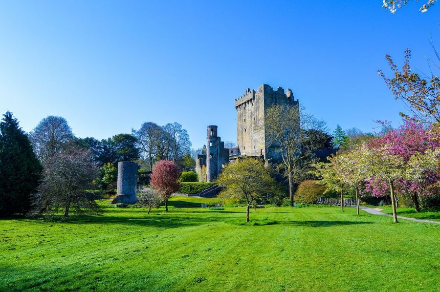 Dublin: Full-Day Tour to Cork, Cobh and Blarney Castle - Should you book it?
