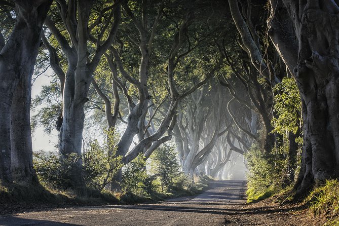 Dublin: Giant's Causeway, Dark Hedges, Dunluce and Belfast Titanic entrance fee - Titanic Belfast: an included ticket and time to explore