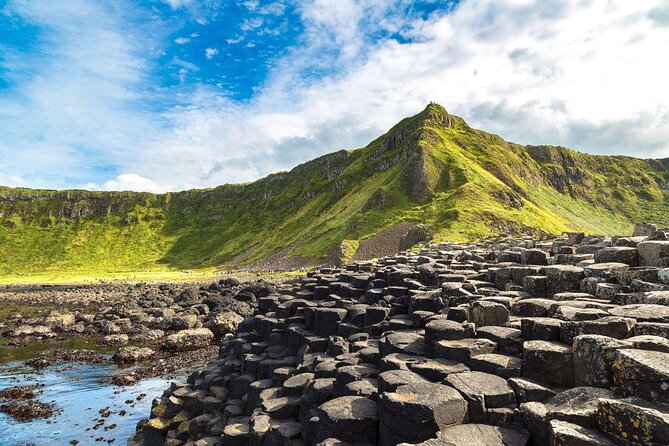 Dublin: Giant's Causeway, Dark Hedges, Dunluce and Belfast Titanic entrance fee - The Dark Hedges: a brief walk under the beeches
