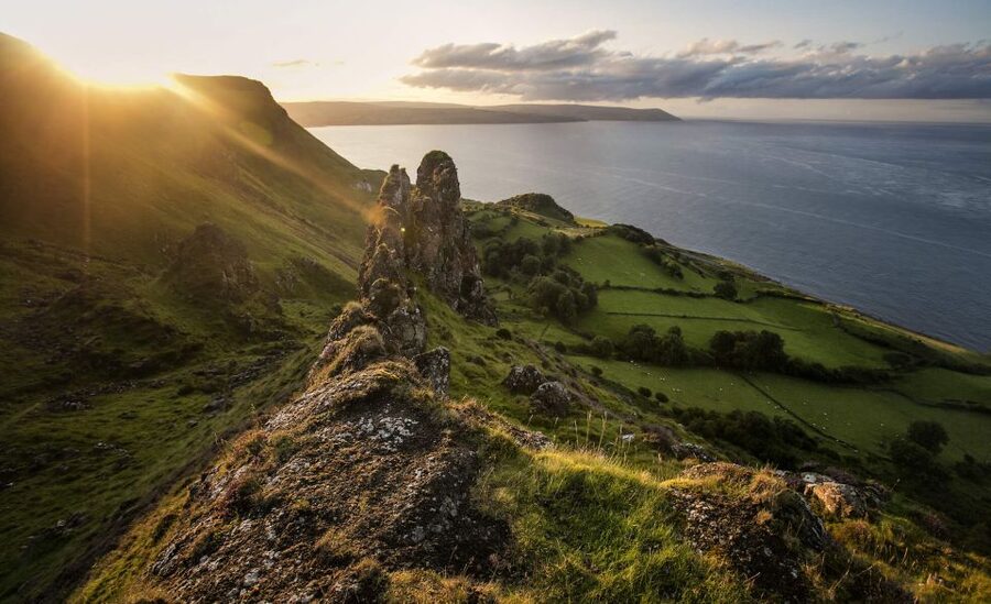 Dublin: Giant's Causeway, Dark Hedges & Titanic Guided Tour - Walking the Dark Hedges