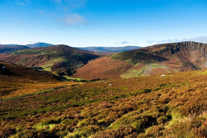 Dublin: Glendalough, Wicklow, Kilkenny and Sheepdog demonstration - Should you book this Wicklow and Kilkenny day trip?