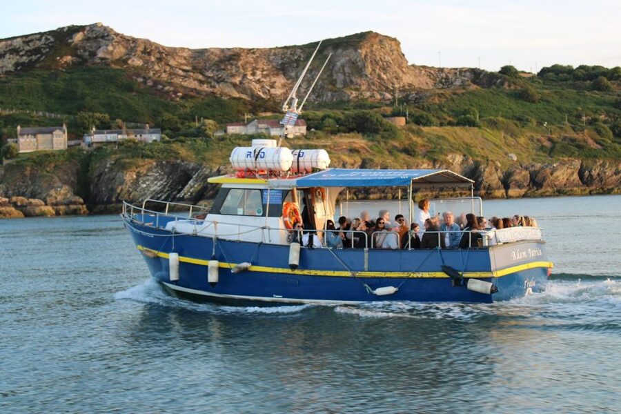 Dublin: Howth Cliffs and Lighthouse Cruise - What to know before you board