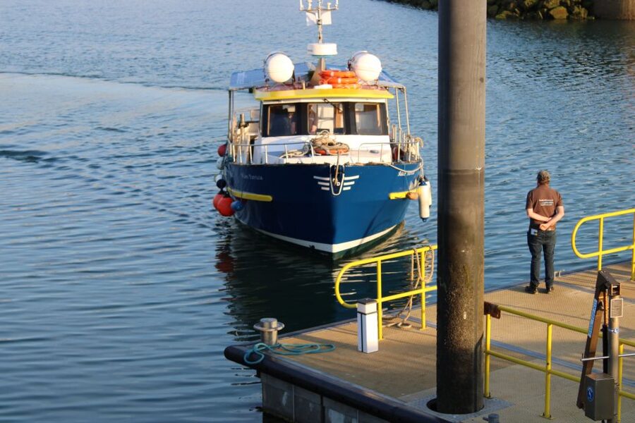 Dublin: Howth Cliffs and Lighthouse Cruise - A short cruise with a different view of Howth