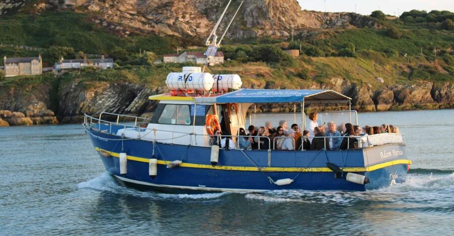 Dublin: Howth Cliffs and Lighthouse Cruise - Booking and practical details