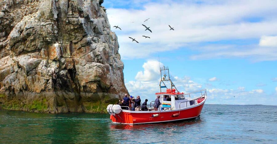 Dublin: Howth Coastal Boat Tour - What to know before you go