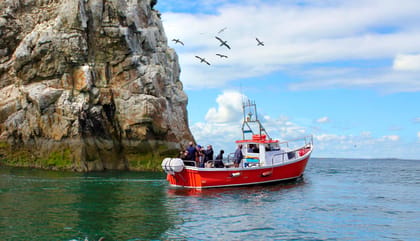 Dublin: Howth Coastal Boat Tour - Leaving Howth’s West Pier