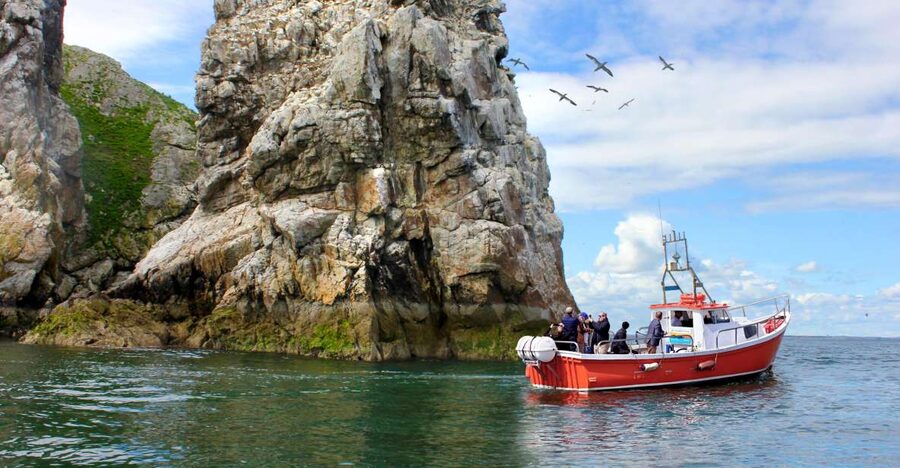 Dublin: Howth Coastal Boat Tour - Is $28 good value?