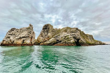 Dublin: Howth Coastal Boat Tour - Should you book the Howth Coastal Boat Tour?