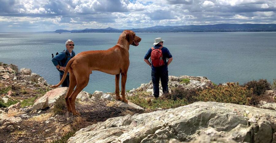 Dublin: Howth Coastal Hiking Tour - What to know before you go