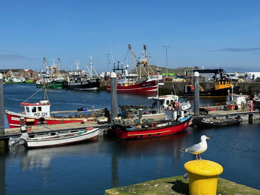 Dublin: Howth Coastal Hiking Tour - Baily Lighthouse and the cliff path