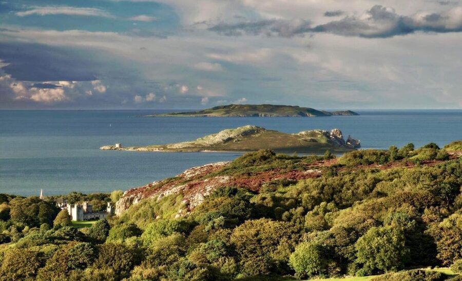 Dublin: Howth Coastal Hiking Tour - What guides add, and what they do not guarantee