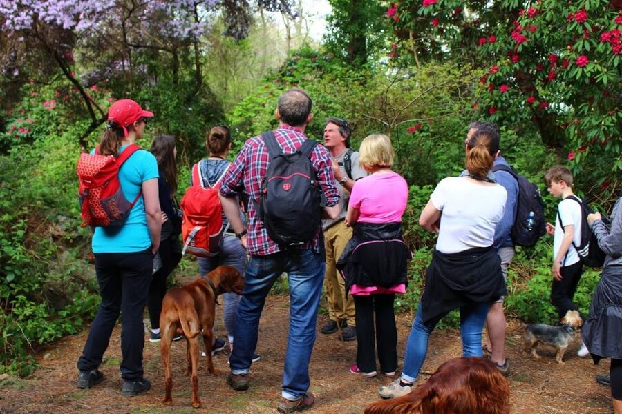 Dublin: Howth Coastal Hiking Tour - Is $44 a fair price for the Howth hike?