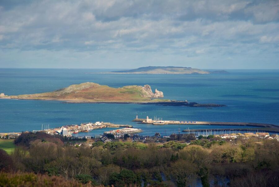 Dublin: Howth Coastal Hiking Tour - From St Mary’s Abbey to village stories