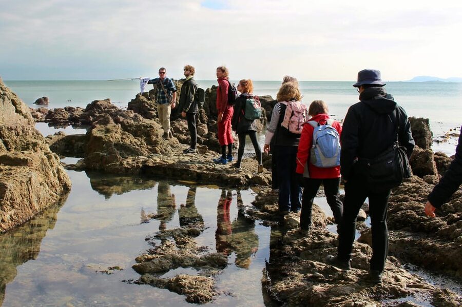 Dublin: Howth Safari Hiking Tour - Doldrum Beach and Jamesons Cove: a quieter pause by the sea