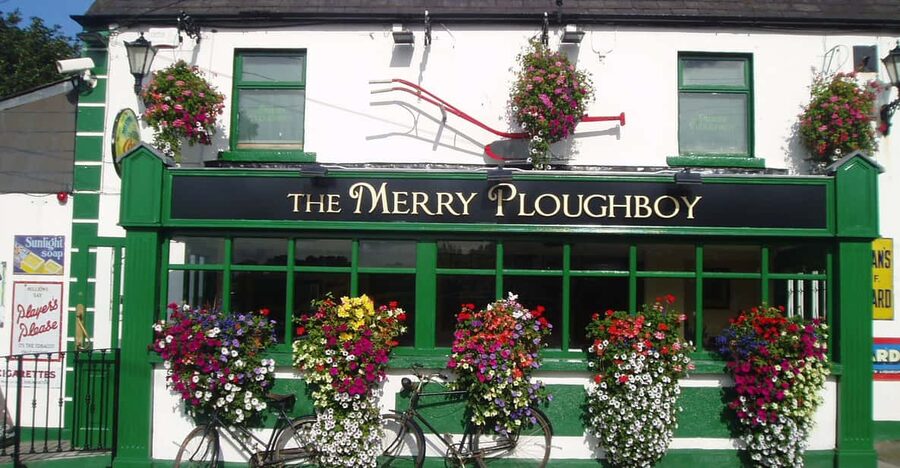 Dublin: Irish Night Show at the Merry Ploughboy Pub - A pub show with musicians at the helm
