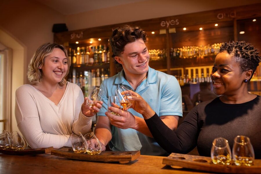 Dublin: Irish Whiskey Museum Tour and Whiskey Tasting - A lively guide makes the history easier to follow