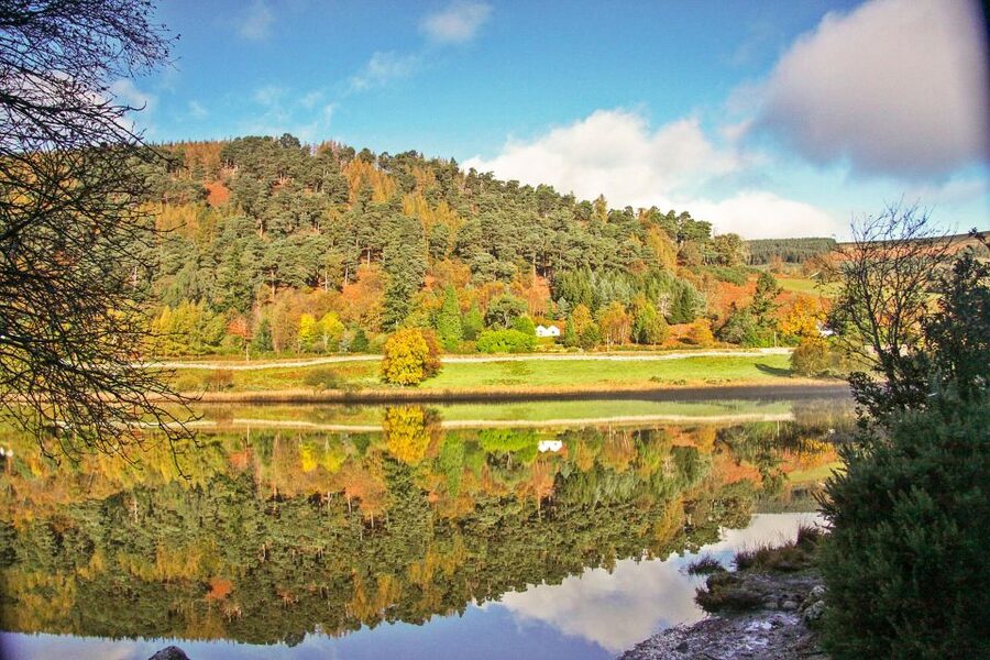 Dublin: Kilkenny, Wicklow & Glendalough Tour & Sheepdog Show - The guide and the coach shape the day