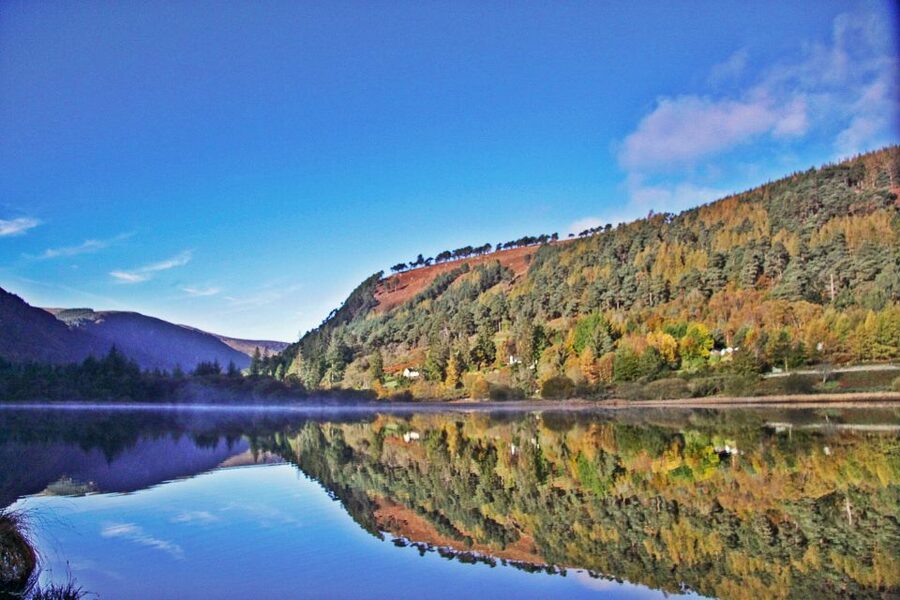 Dublin: Kilkenny, Wicklow & Glendalough Tour & Sheepdog Show - Should you book this Dublin day trip?