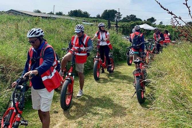 Dublin Panoramic e-Bike Tour with Howth Adventures - Price, timing and practical planning