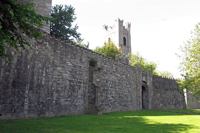 Dublin Private Medieval Walking Tour - Finishing at Isolde’s Tower