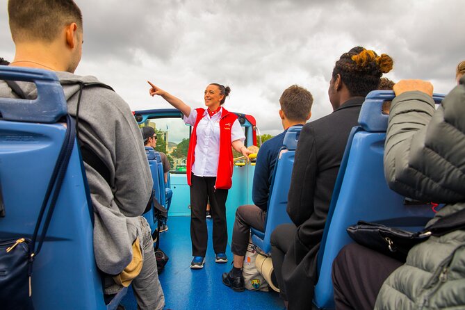 Dublin Shore Excursion: City Sightseeing Hop-On Hop-Off Bus Tour - Who should choose this Dublin bus tour?