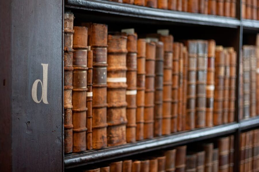 Dublin: St Patrick's, Book of Kells, and Dublin Castle Tour - Starting in St Patrick’s Park