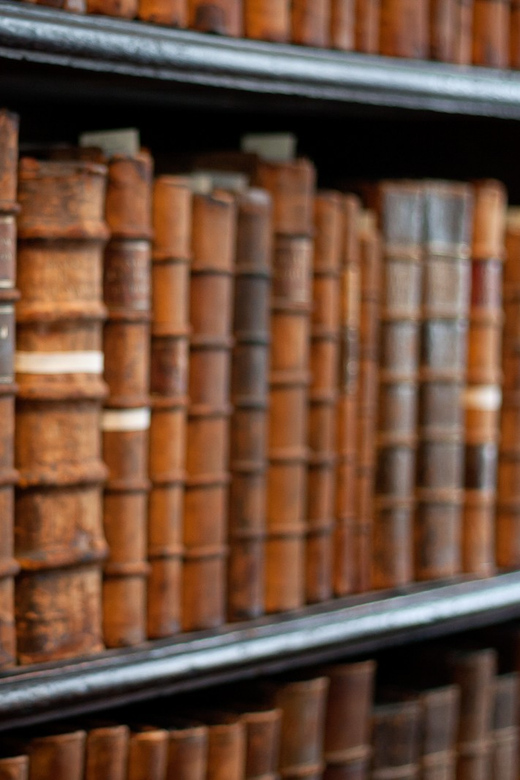Dublin: St Patrick's, Book of Kells, and Dublin Castle Tour - Is $101 a fair price?