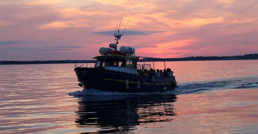 Dublin: Sunset Cruise in Howth - At a glance: Howth sunset cruise