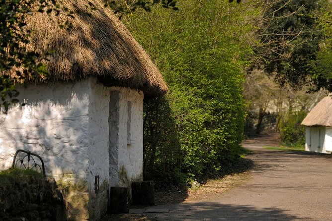 Dublin to Cliffs of Moher, Ennis Town & Bunratty Castle Day Tour - What the fare covers, and what it does not